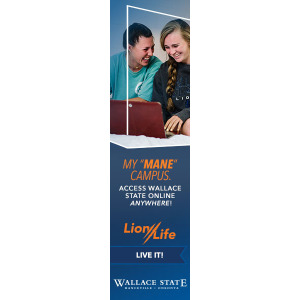 Wallace_Lion-Life-23_Display_WS-Online_160x600